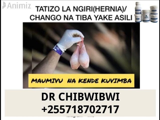 Jinsi ngiri inavyoathiri nguvu za kiume