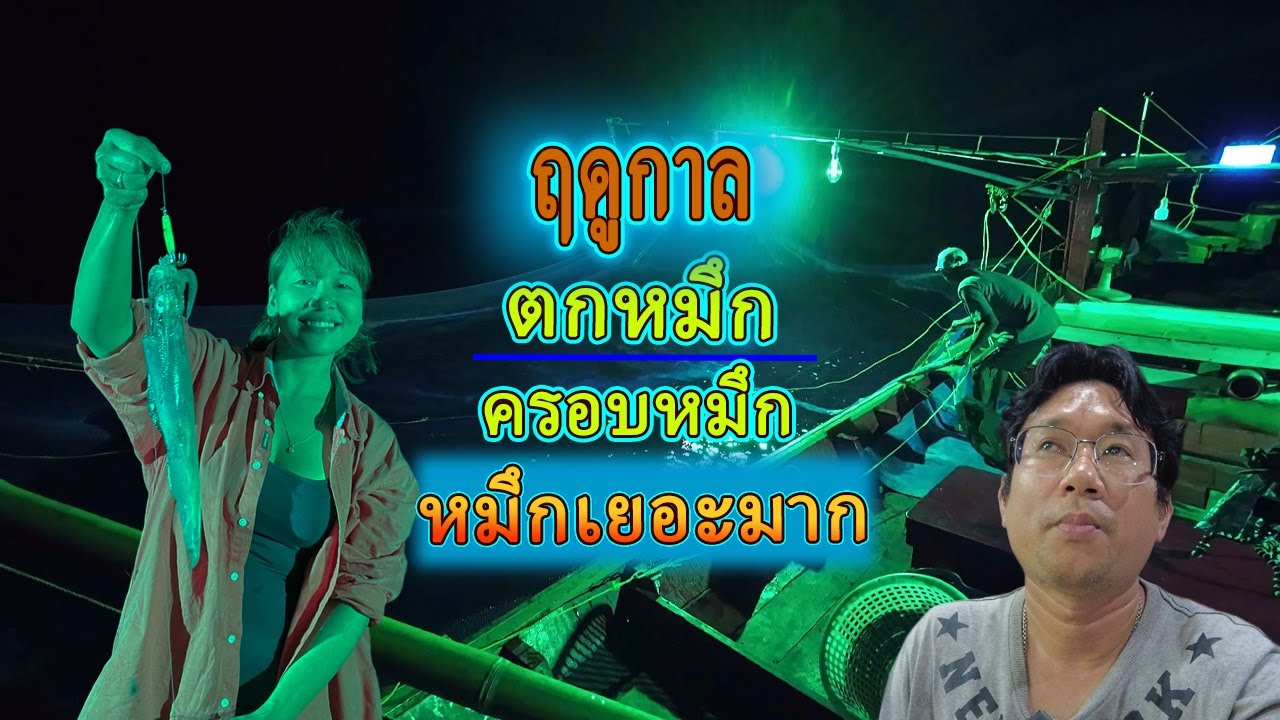 ฤดูกาลตกหมึก / ครอบหมึก /หมึกเยอะมาก