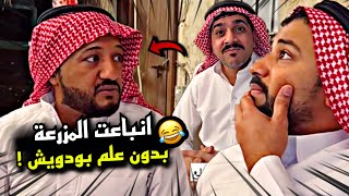 انباعت المزرعة بدون علم بودويش 🤣🤣🤣 | سنابات مرتضى السلمان