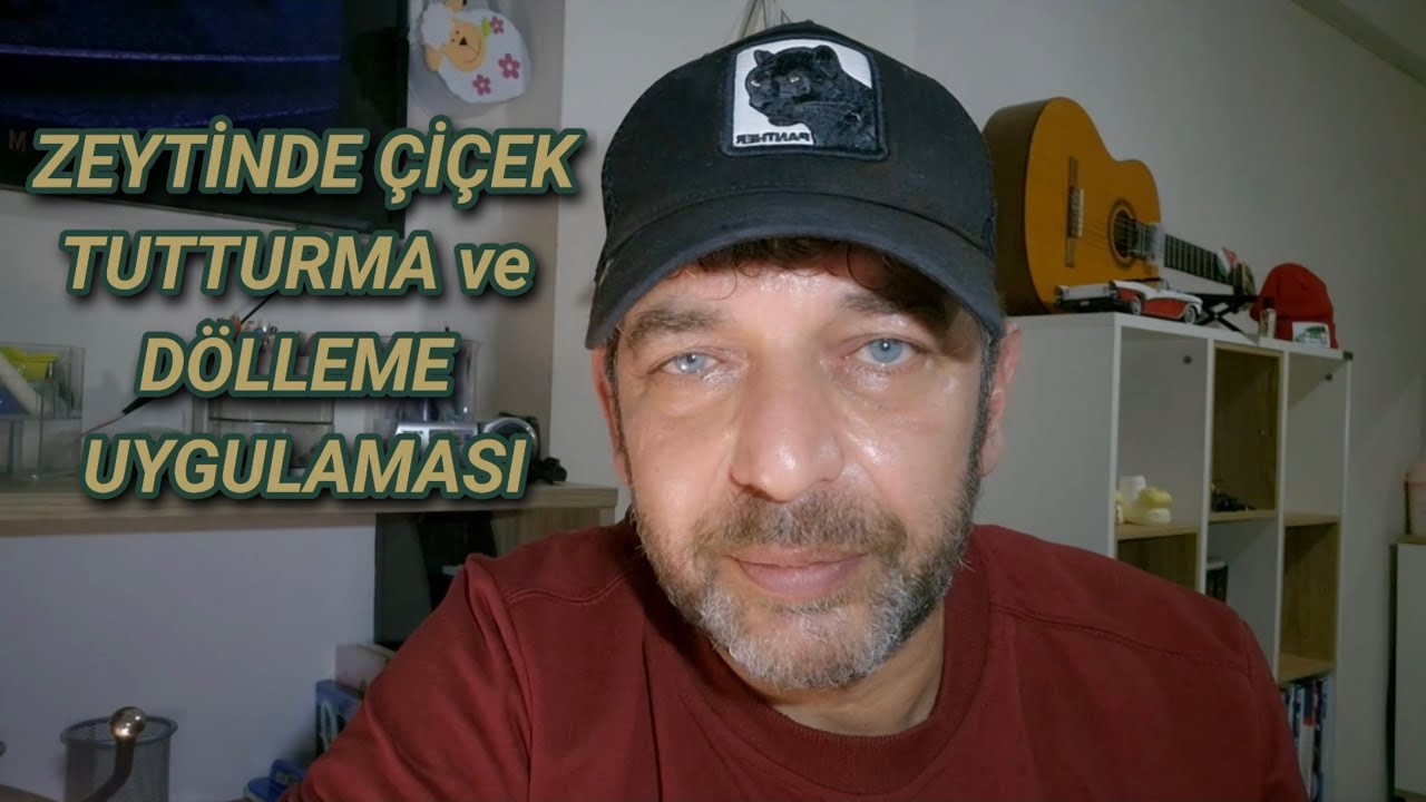 Zeytinde Çiçek Tutturma ve Dölleme Uygulaması