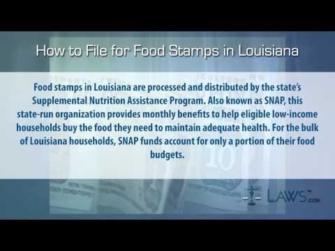 How to File for Food Stamps Louisiana