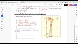 gr4 correction of sheet2