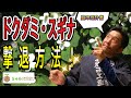 お庭の邪魔者ドクダミ・スギナの簡単駆除方法を紹介。大切なお庭の美観を損ねてしまう前に、様々な雑草対策に活用できるこの方法でお庭を雑草からしっかりガード!皆様のお庭メンテナンスに是非お役立てください。