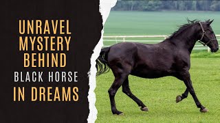 🐎Dream Dictionary Black Horse | Dream Interpretation Of Black Horse Symbolism