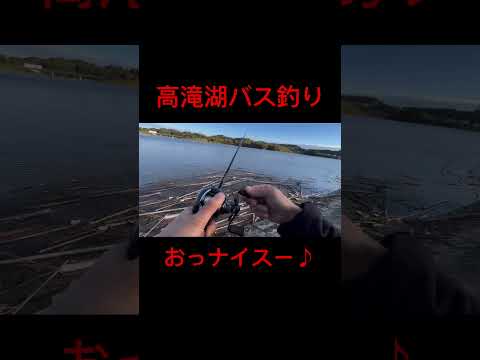 11月18日高滝湖バス釣り#高滝湖バス釣り#バス釣り#バスフィッシング#バス釣り好きと繋がりたい#釣り好きと繋がりたい#釣り
