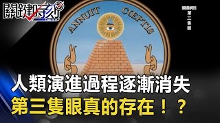 人類演進過程中逐漸消失 神秘「第三隻眼」真的存在！？ 關鍵時刻 20170413-5 劉燦榮 馬西屏