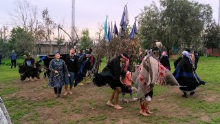 Choike Purrun En Lof Lo Prado