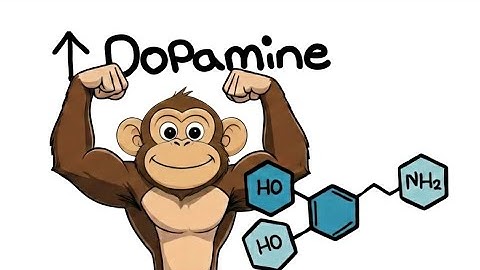 Ape’s Simple Method to Boost Dopamine (Backed by Real Brain Science)