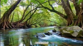 Download Mp3 Musik Alam Penenang Hati | Suara Sungai dan Alam untuk Menghilangkan Stress Gudang lagu Download Mp3 Musik Alam Penenang Hati | Suara Sungai dan Alam untuk Menghilangkan Stress