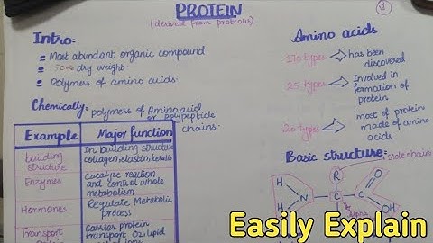 Structure Of Proteins | Primary, Secondary, Tertiary And Quaternary In Urdu Hindi Class 11