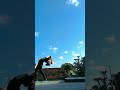 #part of life yoga 🤍🌞🌄