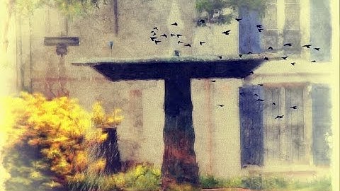 القارئ الشيخ عبدالرحمن أبا الخيل سورة الرحمن أية 46