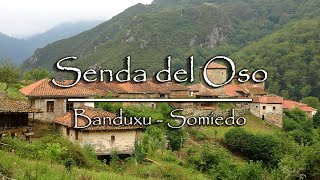 Senda del Oso, Banduxu, Veigas y Somiedo (Asturias) en 4k Ultra HD