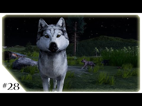 28# WolfQuest - Útok medvěda