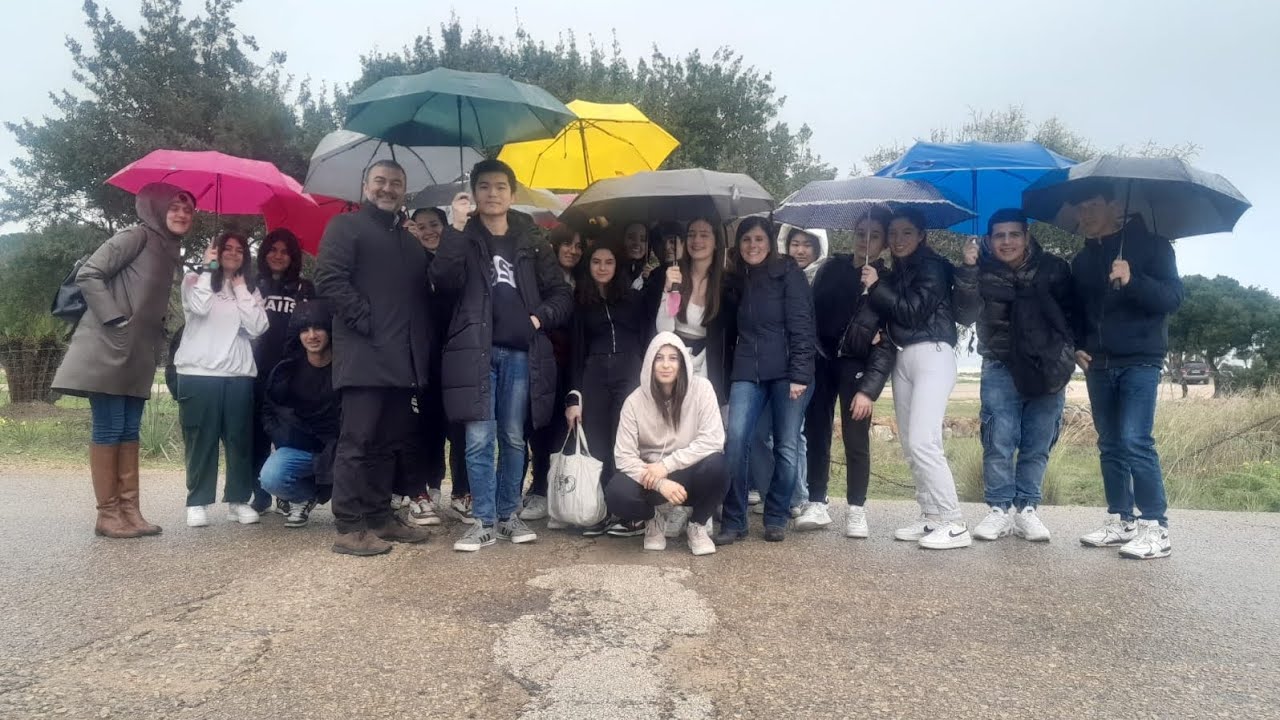 From Waves to Watts: A dive into the Waves4Water project