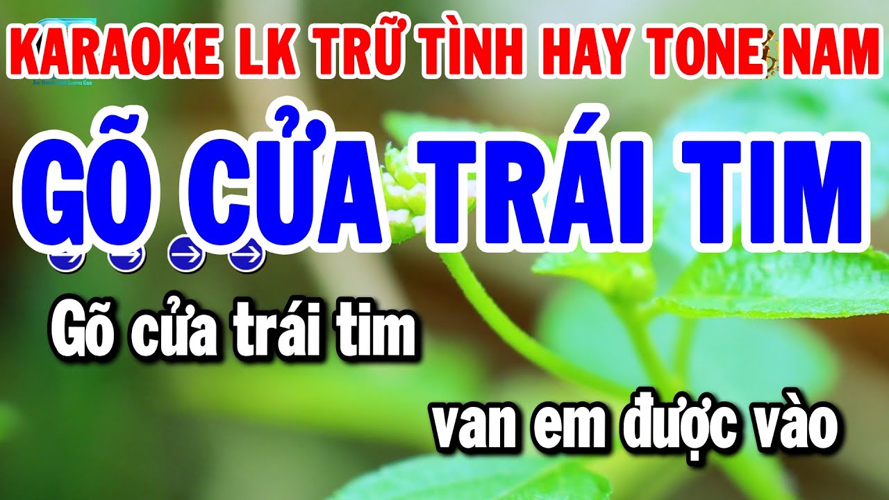 Karaoke Liên Khúc Trữ Tình Dễ Hát Tone Nam | Gõ Cửa Trái Tim - Con Đường Xưa Em Đi | Thanh Hải