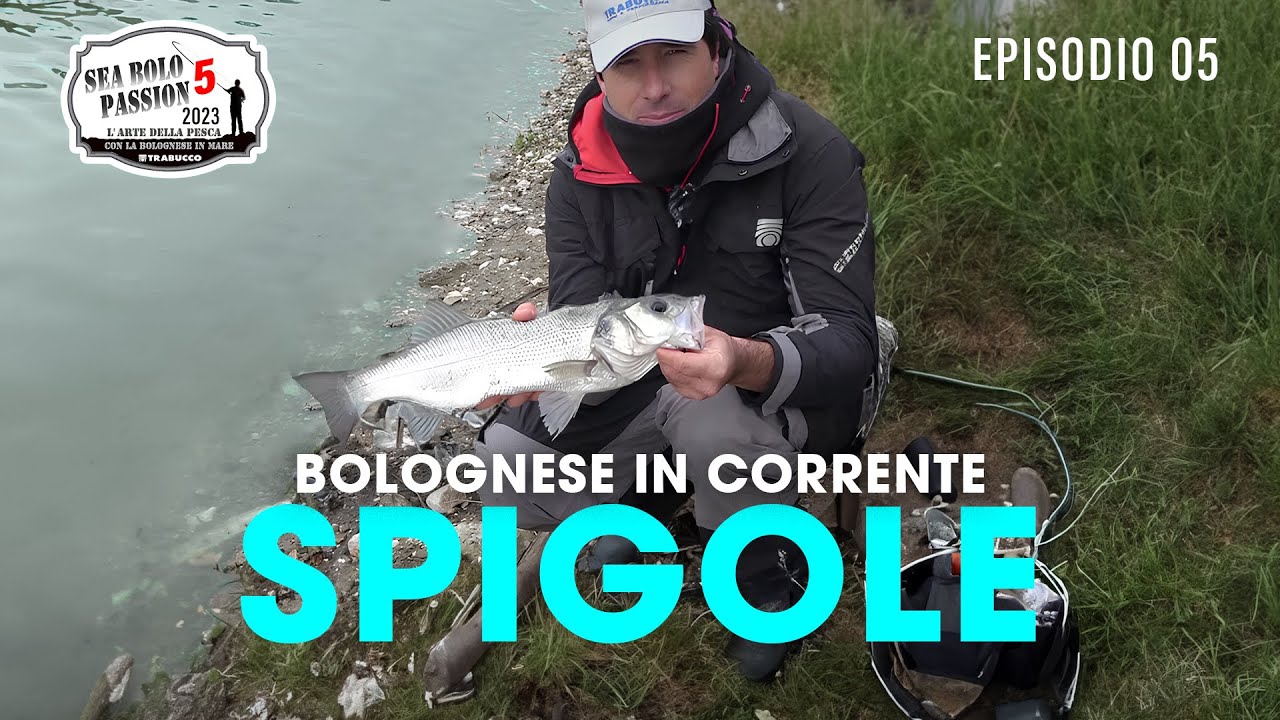 Pesca a BOLOGNESE: le spigole in CORRENTE » Sea BOLO Passion S5E5