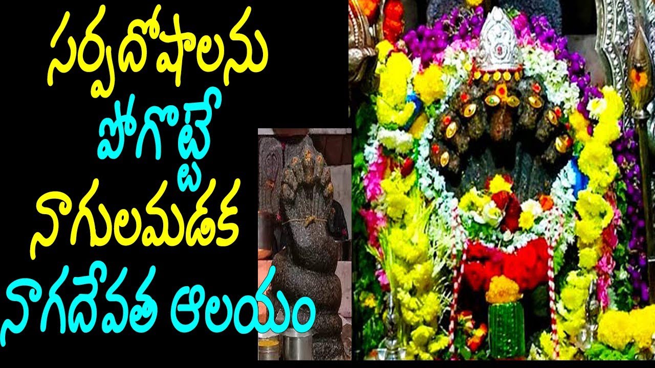 నాగులమడక నాగదేవత ఆలయం/nagalamadaka temple penugonda/sarpadevata temple