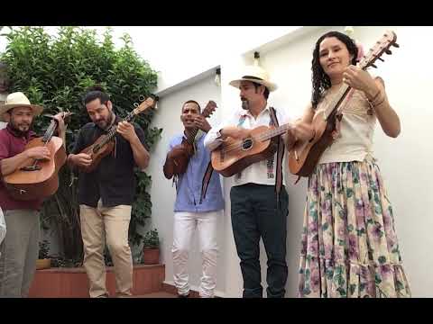 El Balajú / Los Vega son Jarocho