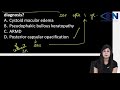 Rapid Revision PYQ-18