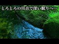 【睡眠 自然音】極上の睡眠へ導く癒しの川の音