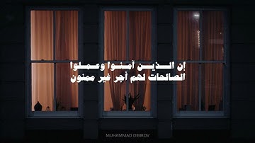 تلاوة قران كريم بدون مؤثرات - محمد ديبيروف - سورة فصلت