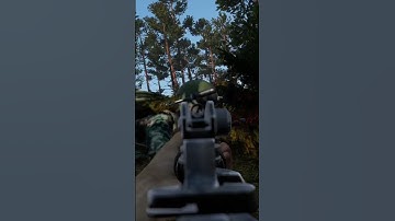 When You Forget To Reload in DayZ…