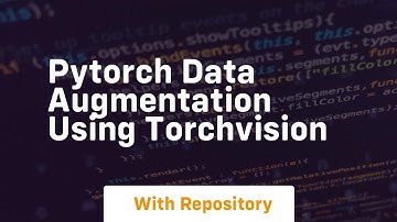 pytorch data augmentation using torchvision
