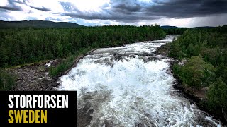 Storforsen: Sweden’s Largest Rapid