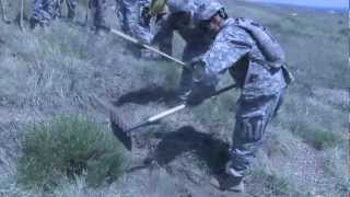Wildfire Training