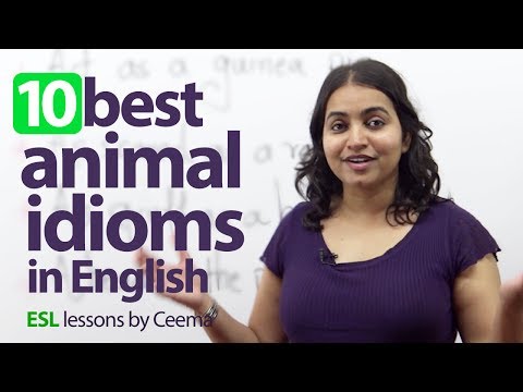 10 best animal idioms in English - English Lesson ( ESL) Vocabulary & Expressions