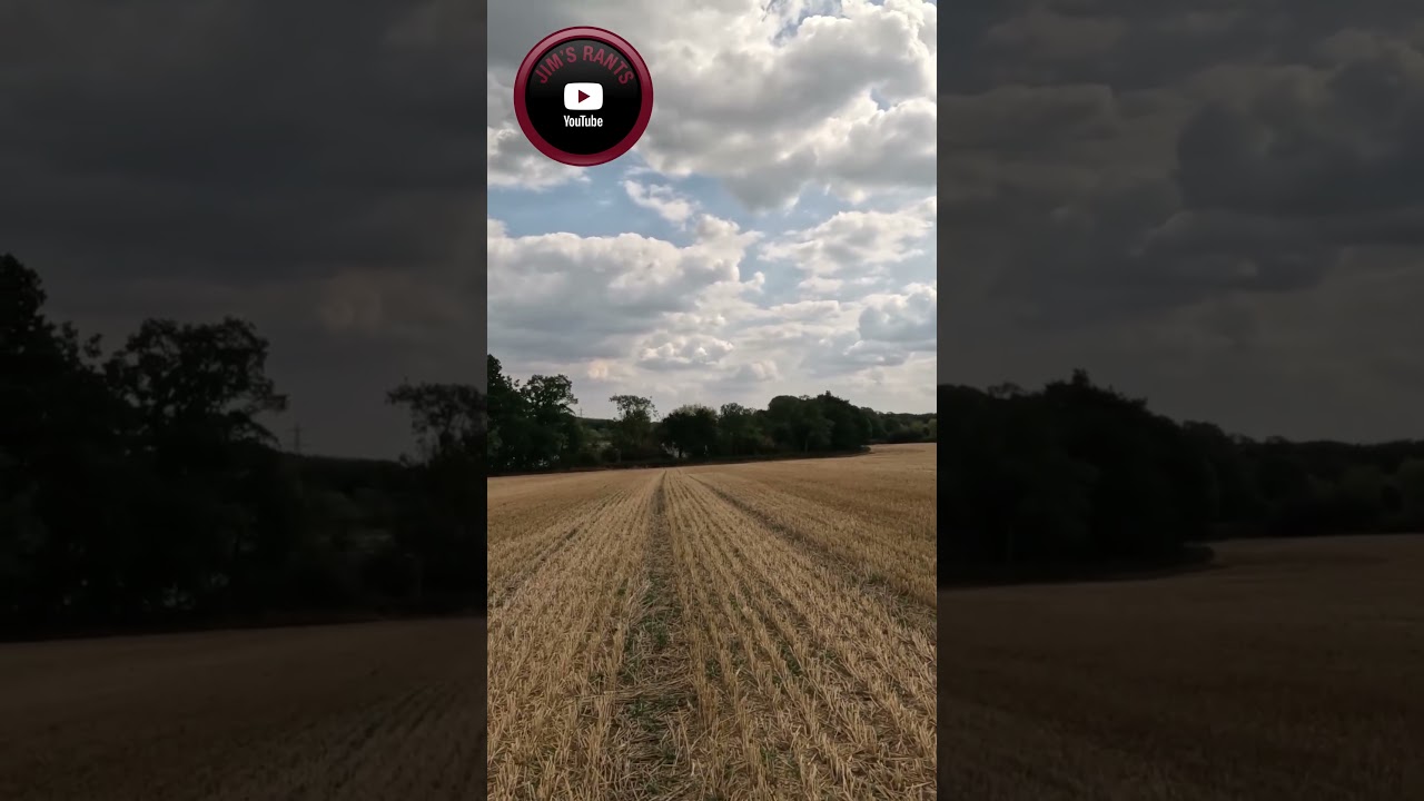 Licensing Delays Are Now a Public Safety Crisis