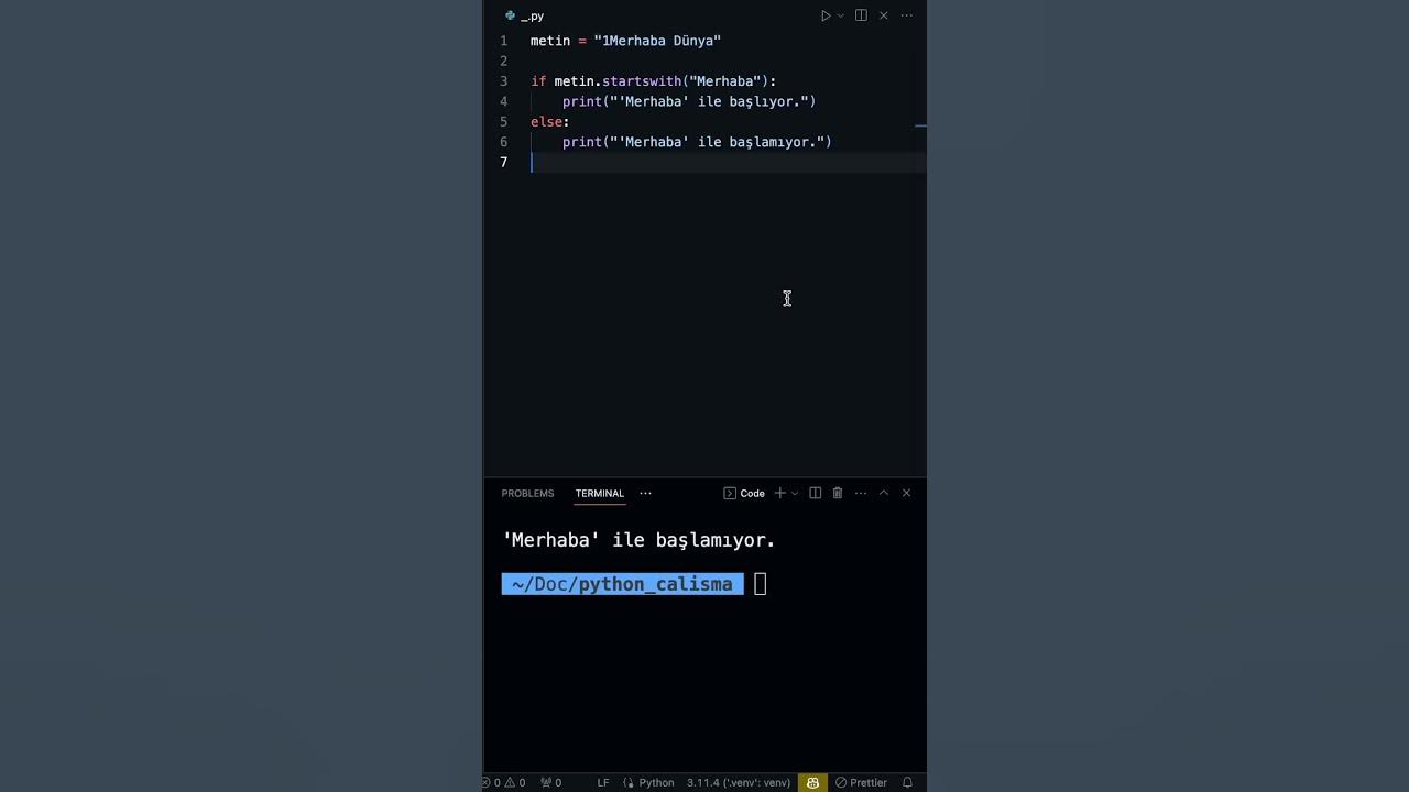 Python da ba lang ve biti kontrol startswith ve endswith kullan m 