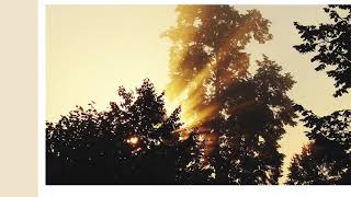 Savannah Sunset •Jens Schliecker