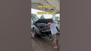 New 3rd Gen Firebird Project