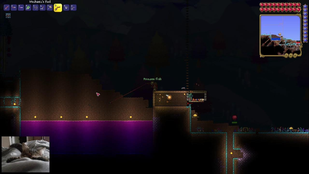 LIVE! Playing Terraria And Planning to get Titanium Some How... YouTube