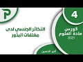 18 التكاثر الجنسي لدى مغلفات البذور 4 علوم بكالوريا 2025