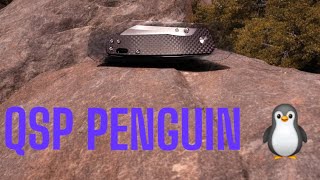 QSP PENGUIN 🐧 REVIEW.LETS TAKE A LOOK.