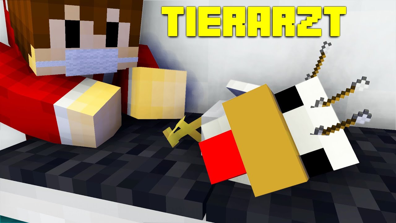 Tierarzt in Minecraft | Minecraft Abenteuermap | LarsLP - YouTube