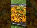 crispy corn #shortsviral #indianfood