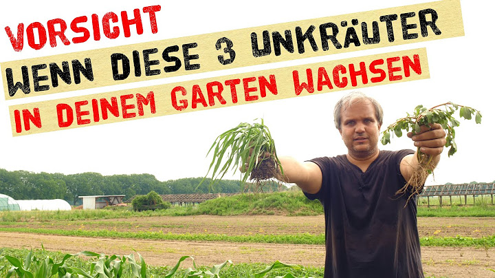 Diese 3 Unkräuter breiten sich invasiv im Gemüsegarten aus und überwuchern deine Nutzpflanzen.
