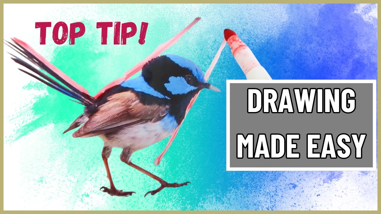 Master Bird Drawing In Minutes With This Beginner Tip