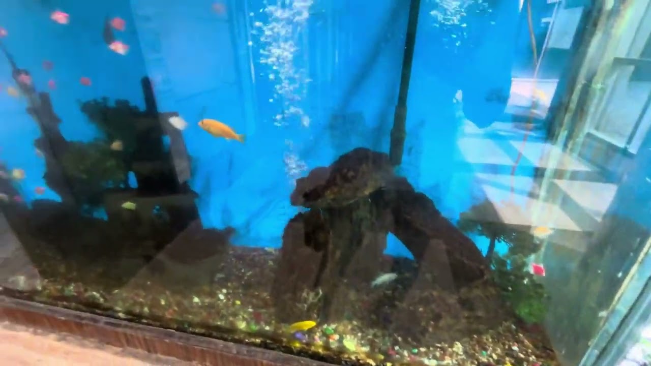 Glass giyo aaj to hatha hu hi 😃🥲