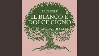 Arcadelt: Il bianco e dolce cigno