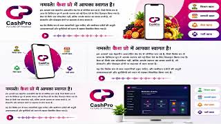 CashPro App Demo | Hindi Accounting Software for Fruit Merchants | Full Training 2026 screenshot 3