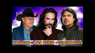 MIX * BRONCO - BUKIS - TEMERARIOS 40 RECUERDOS DEL AYER (vol 3) MIX GRANDES EXITOS...