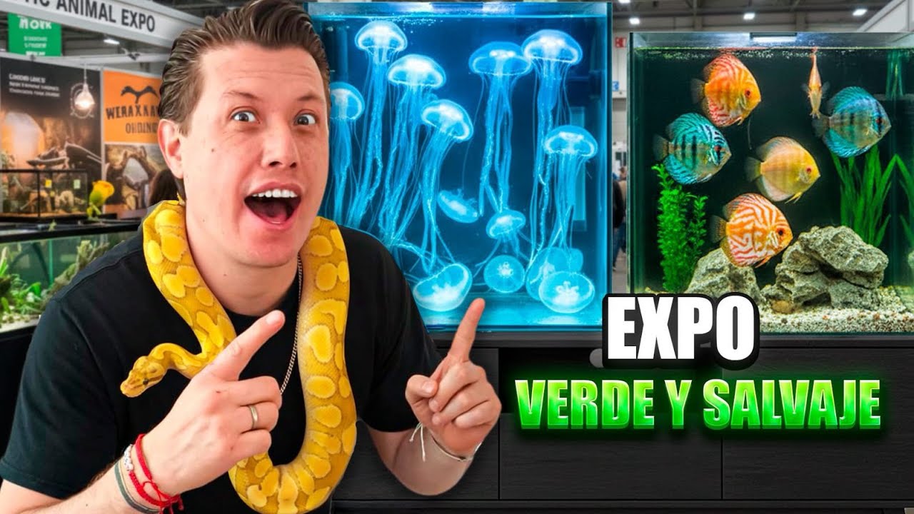 EXPO de ANIMLES EXOTICOS Verde Y Salvaje medusas serpientes peces plantas exóticas y mas