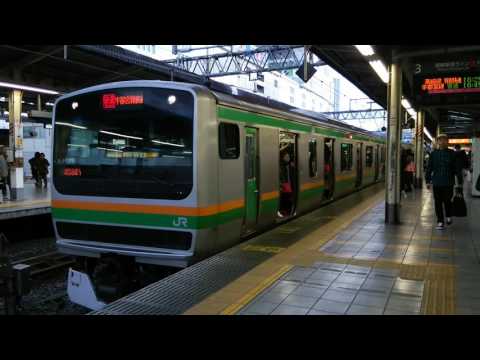 湘南新宿ライン E231系湘南色＋E231系湘南色 JR宇都宮線直通 快速 宇都宮行き 池袋にて撮影