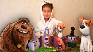 Открываем сюрпризы Тайная жизнь домашних животных Open Secret Life of Pets Surprises Открываем сюрпризы Тайная жизнь домашних животных Open Secret Life of Pets Surprises