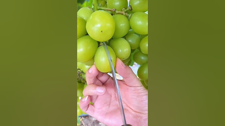 oops..!!! #shorts #farm #grapes #hydroponics #fruite